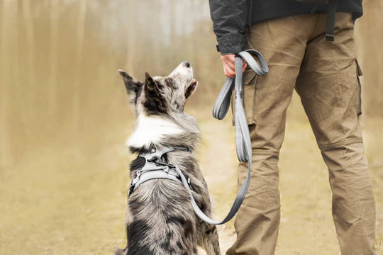 Arnés Ergonómico Anti Tirones Gris Classic