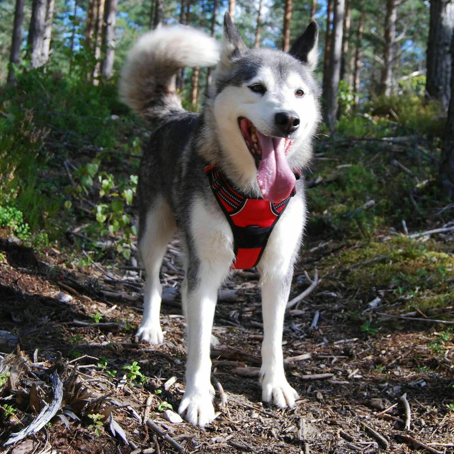 Arnés Ergonómico Anti Tirones Rojo